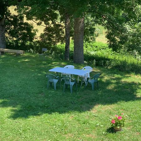 Ferme Au Calme A 15Mn Du Chambon Sur Lignon Villa Saint-Jeures Dış mekan fotoğraf