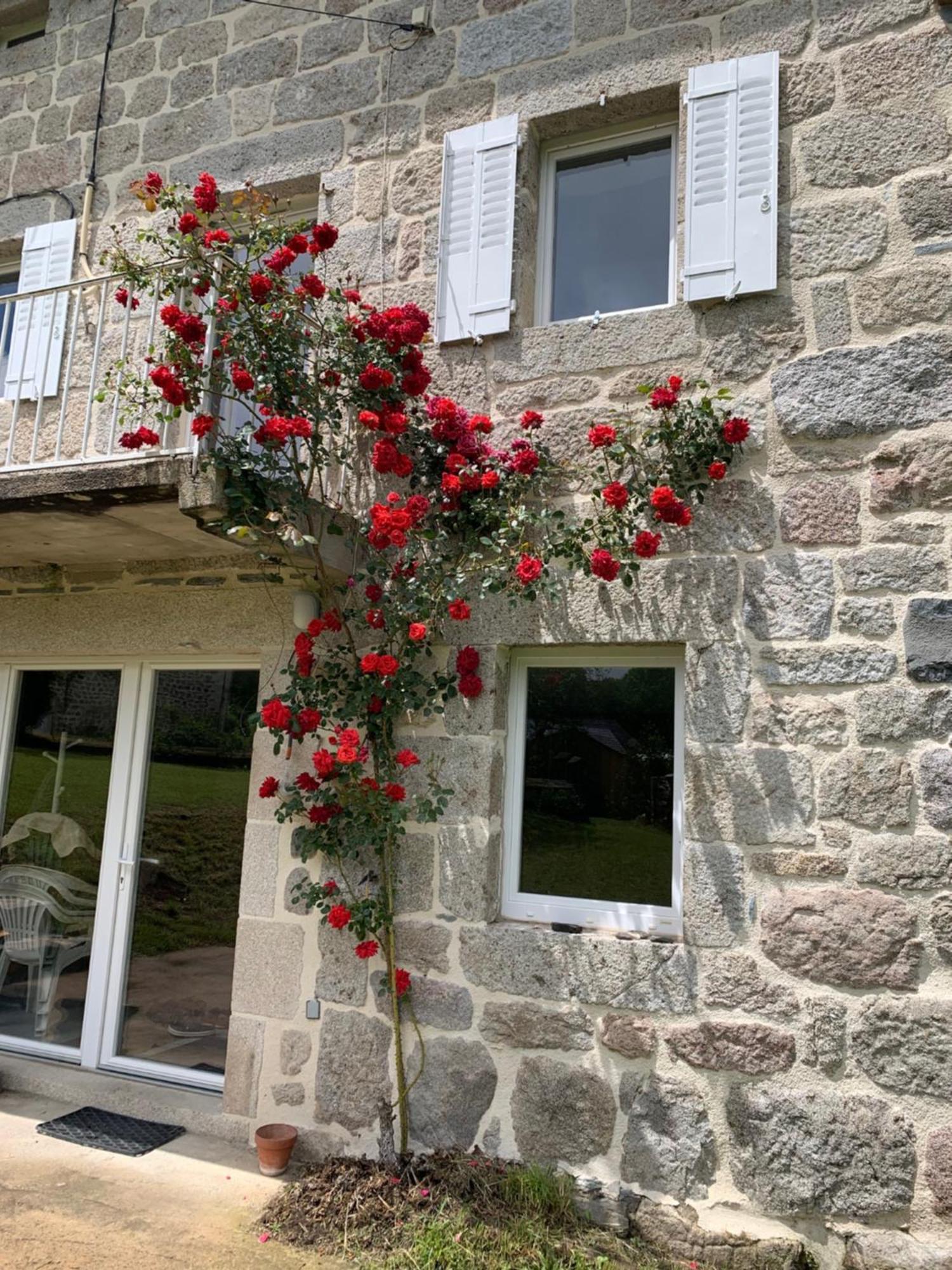 Ferme Au Calme A 15Mn Du Chambon Sur Lignon Villa Saint-Jeures Dış mekan fotoğraf